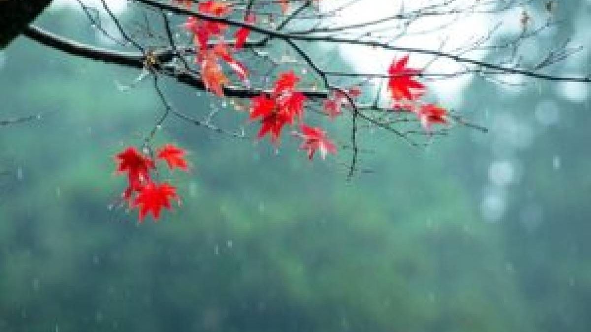 She Has A Way Nguyen Si Kha • Bells Of Gal • 2022