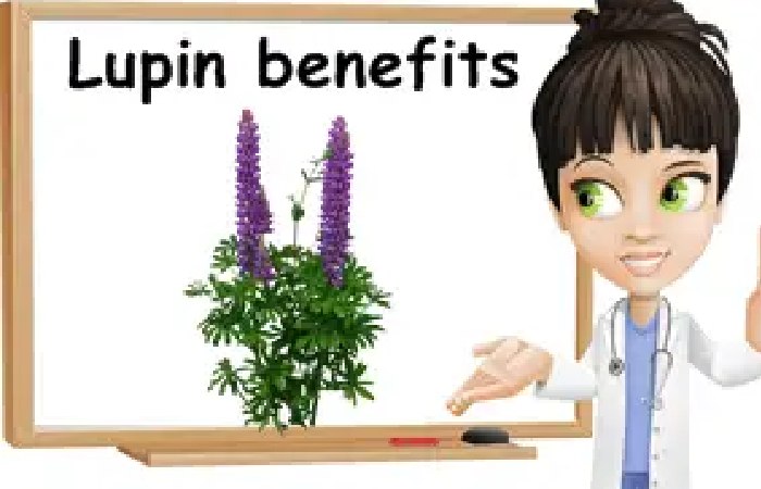 The Benefits Of Using Myuday.Lupin.Com